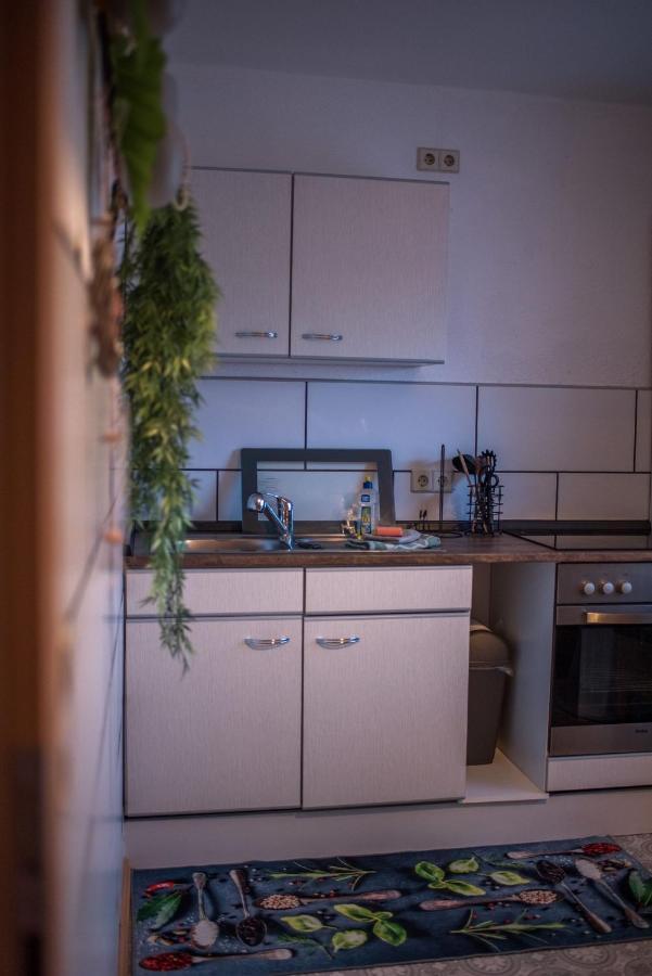 Ferienwohnung Gipfelblick Willingen  Exterior foto